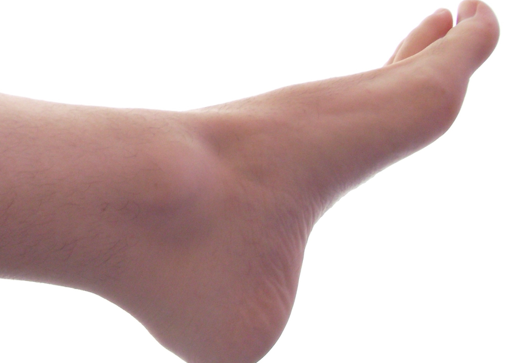 foot
