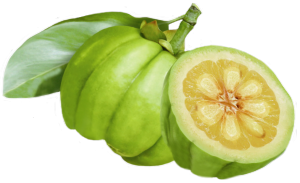 Garcinia cambogia
