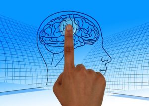 brain receptors